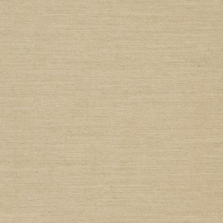 D1007 Linen by Charlotte Designer Fabric Prints & Wovens 100% Solution Dyed Woven Acrylic Made In USA Exceeds 60,000 Wyzenbeek Rubs (Heavy Duty) </p><p>Repeat: 54 Inches - Swanky Fabrics -