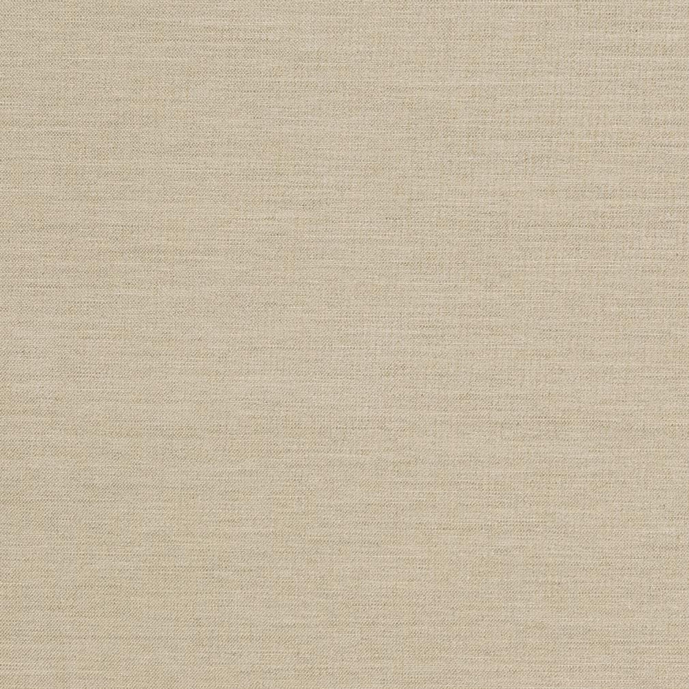 D1008 Sandstone by Charlotte Designer Fabric Prints & Wovens 100% Solution Dyed Woven Acrylic Made In USA Exceeds 60,000 Wyzenbeek Rubs (Heavy Duty) </p><p>Repeat: 54 Inches - Swanky Fabrics -