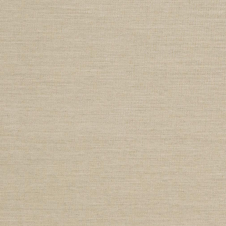 D1008 Sandstone by Charlotte Designer Fabric Prints & Wovens 100% Solution Dyed Woven Acrylic Made In USA Exceeds 60,000 Wyzenbeek Rubs (Heavy Duty) </p><p>Repeat: 54 Inches - Swanky Fabrics -