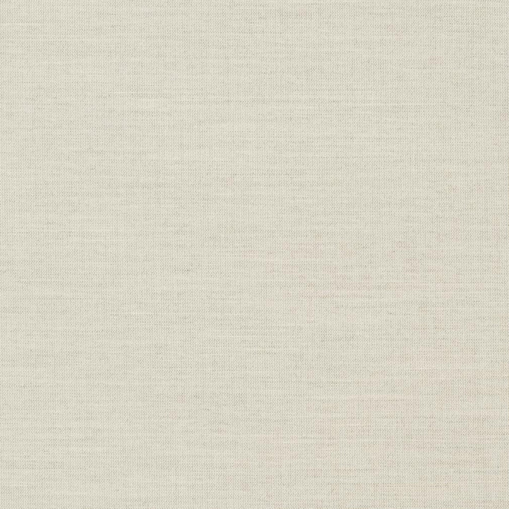 D1010 Stone by Charlotte Designer Fabric Prints & Wovens 100% Solution Dyed Woven Acrylic Made In USA Exceeds 60,000 Wyzenbeek Rubs (Heavy Duty) No Repeat 54 Inches - Swanky Fabrics -