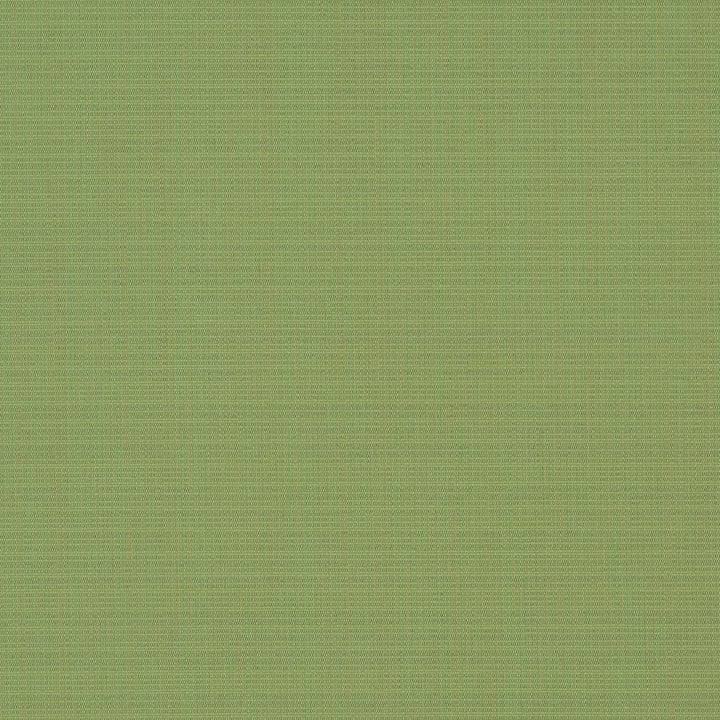 D1015 Basil by Charlotte Designer Fabric Prints & Wovens 100% Solution Dyed Woven Acrylic Made In USA Exceeds 60,000 Wyzenbeek Rubs (Heavy Duty) No Repeat 54 Inches - Swanky Fabrics -