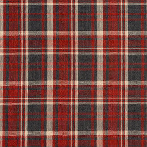 Charlotte Fabric D101 Brick Plaid