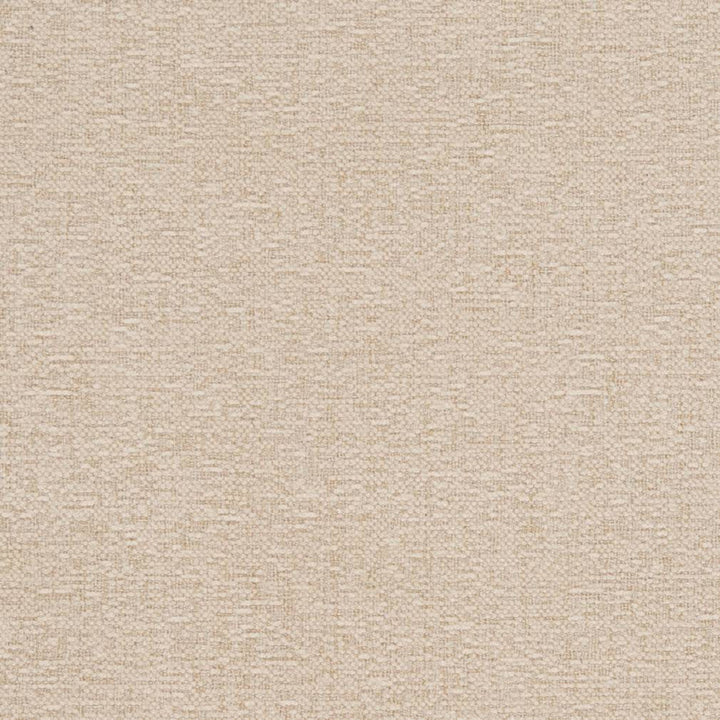 D1100 Beige by Charlotte Designer Fabric Crypton Neutrals 100% Woven Polyester China Exceeds 100,000 Wyzenbeek Rubs (Heavy Duty) No Repeat 54 Inches - Swanky Fabrics -