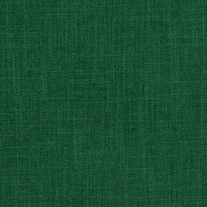 D1143 Emerald by Charlotte Designer Fabric Crypton Colors 100% Woven Polyester China Exceeds 100,000 Wyzenbeek Rubs (Heavy Duty) No Repeat 54 Inches - Swanky Fabrics -
