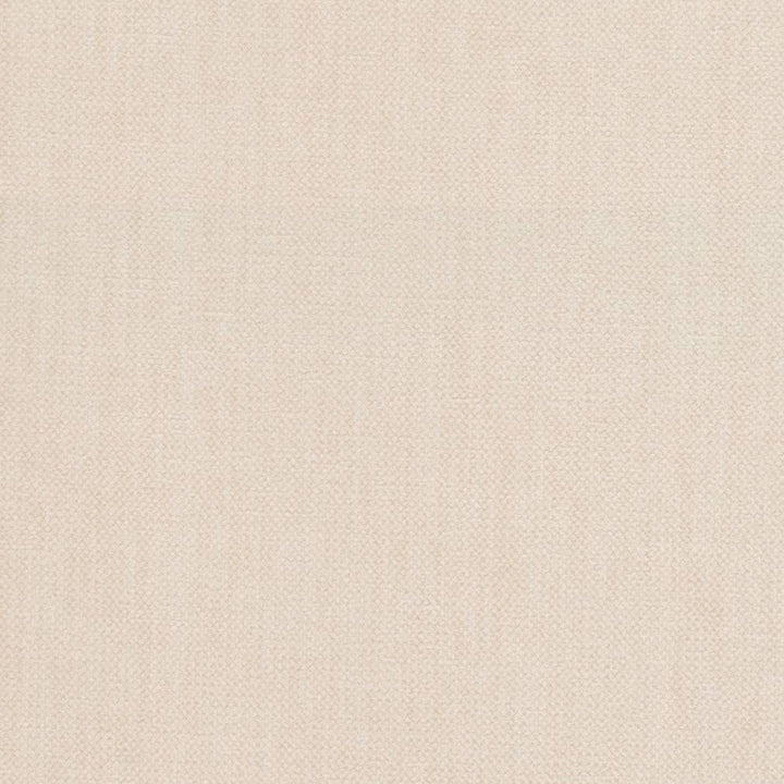 D1150 Natural by Charlotte Designer Fabric Crypton Neutrals 100% Woven Polyester China Exceeds 100,000 Wyzenbeek Rubs (Heavy Duty) No Repeat 54 Inches - Swanky Fabrics -
