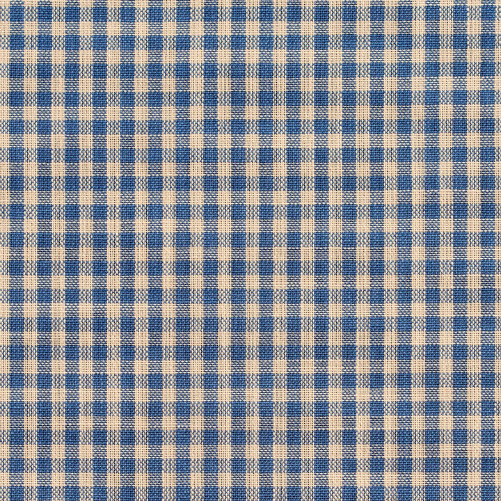 D116 Wedgewood Gingham by Charlotte Designer Fabric Clubhouse Collection 100% Woven Polyester Asia Exceeds 120,000 Wyzenbeek Rubs (Heavy Duty) Horizontal: .5" x Vertical: .5" 54 Inches - Swanky Fabrics -