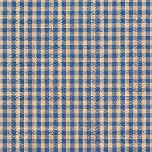 Charlotte Fabric D116 Wedgewood Gingham