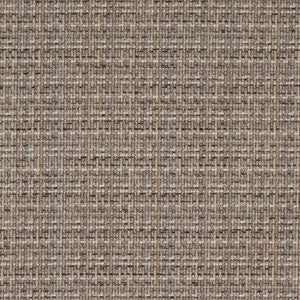 Charlotte Fabric D1175 Driftwood