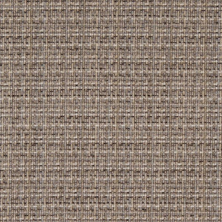 D1175 Driftwood by Charlotte Designer Fabric Crypton Neutrals 100% Woven Polyester Asia Exceeds 100,000 Wyzenbeek Rubs (Heavy Duty) </p><p>Repeat: 54 Inches - Swanky Fabrics -