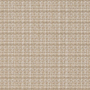 Charlotte Fabric D1176 Oat