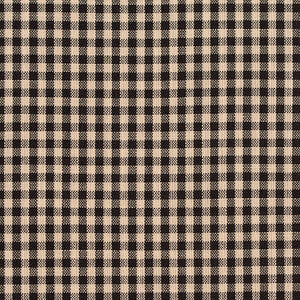 Charlotte Fabric D117 Onyx Gingham