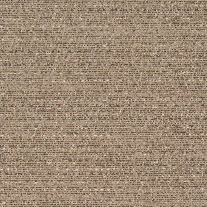 D1183 Sandstone by Charlotte Designer Fabric Crypton Neutrals 100% Woven Polyester China Exceeds 100,000 Wyzenbeek Rubs (Heavy Duty) No Repeat 54 Inches - Swanky Fabrics -