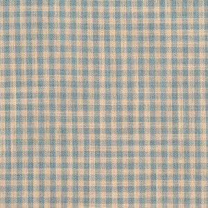 Charlotte Fabric D118 Cornflower Gingham