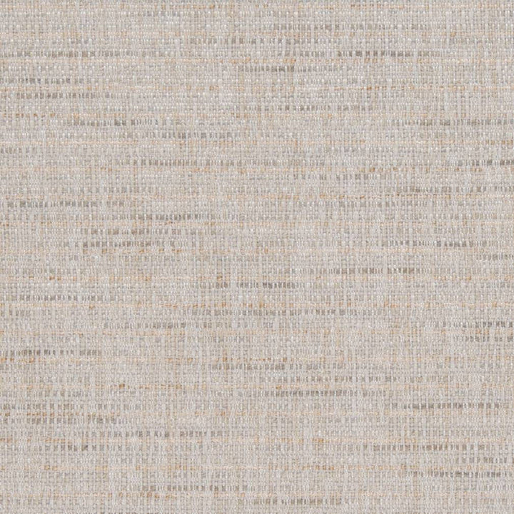 D1201 Beach by Charlotte Designer Fabric Crypton Neutrals 100% Woven Polyester China Exceeds 100,000 Wyzenbeek Rubs (Heavy Duty) No Repeat 54 Inches - Swanky Fabrics -