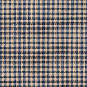 Charlotte Fabric D120 Indigo Gingham