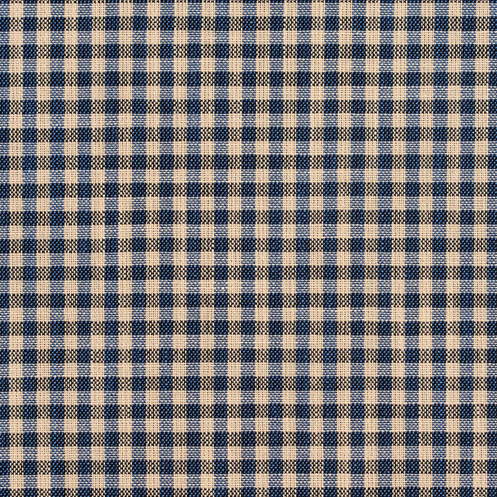 D120 Indigo Gingham by Charlotte Designer Fabric Clubhouse Collection 100% Woven Polyester Asia Exceeds 120,000 Wyzenbeek Rubs (Heavy Duty) Horizontal: .5" x Vertical: .5" 54 Inches - Swanky Fabrics -