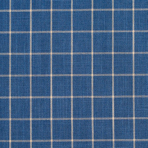 Charlotte Fabric D123 Wedgewood Checkerboard