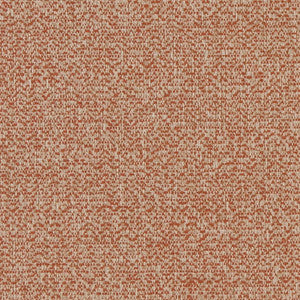 Charlotte Fabric D1248 Spice Texture