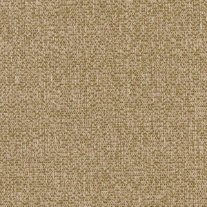Charlotte Fabric D1249 Willow Texture