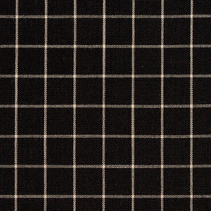 Charlotte Fabric D124 Onyx Checkerboard