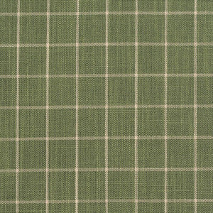 Charlotte Fabric D126 Juniper Checkerboard