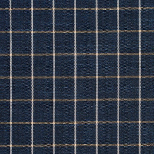 Charlotte Fabric D127 Indigo Checkerboard