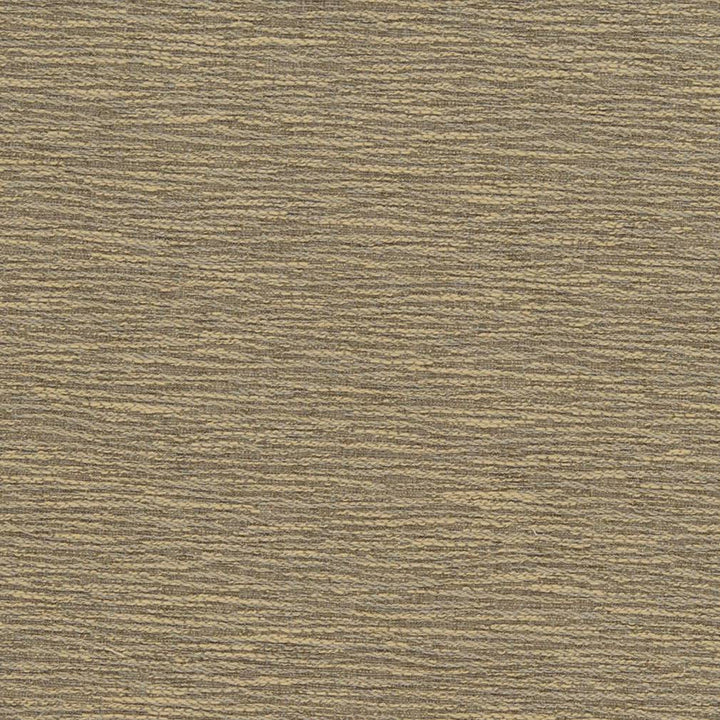 D1349 Sand Dune by Charlotte Designer Fabric Neutral Textures 77% Polyester, 23% Cotton Taiwan Exceeds 60,000 Wyzenbeek Rubs (Heavy Duty) No Repeat 54 Inches - Swanky Fabrics -