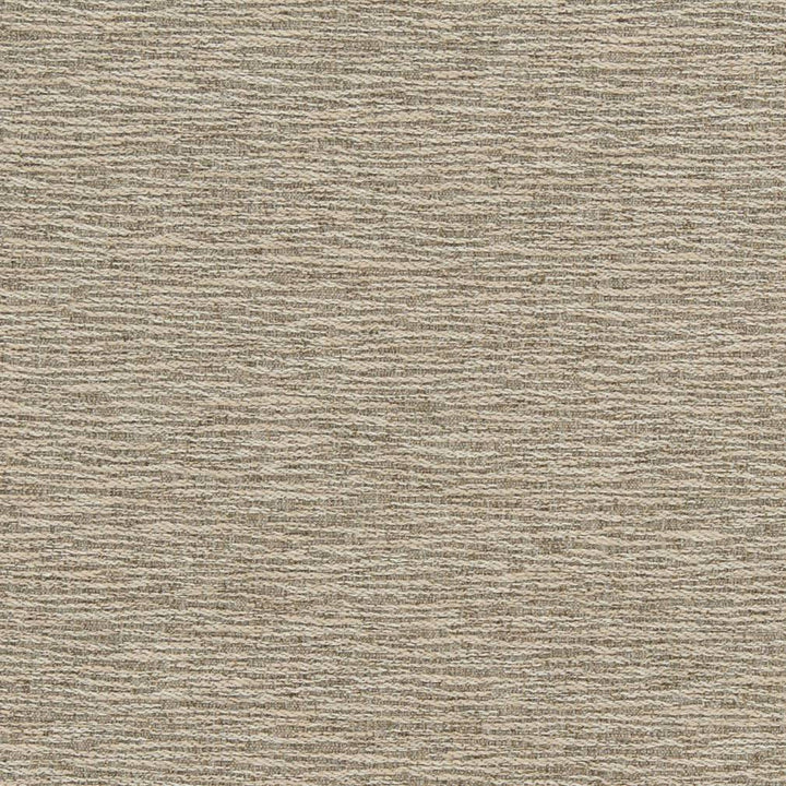 D1357 Mineral by Charlotte Designer Fabric Neutral Textures 77% Polyester, 23% Cotton Taiwan Exceeds 60,000 Wyzenbeek Rubs (Heavy Duty) No Repeat 54 Inches - Swanky Fabrics -