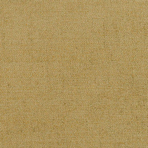 Charlotte Fabric D1399 Keylime