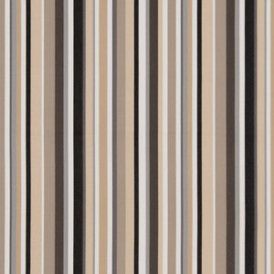 Charlotte Fabric D1423 Desert Stripe