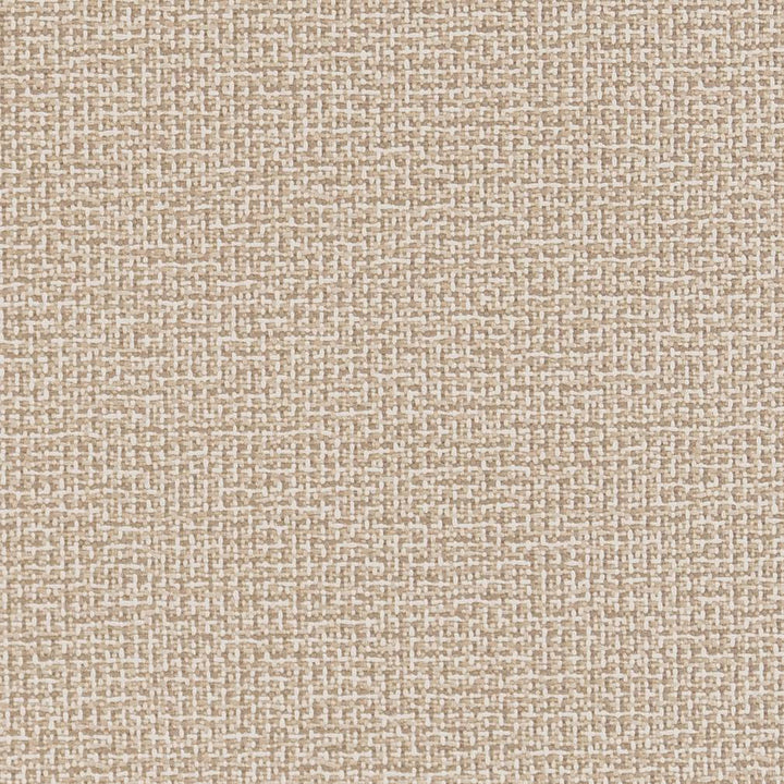 D1446 Sandstone Texture by Charlotte Designer Fabric Vibrant Wovens 100% Woven Polypropylene Europe Exceeds 100,000 Wyzenbeek Rubs (Heavy Duty) No Repeat 54 Inches - Swanky Fabrics -
