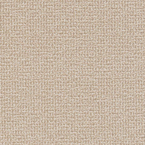 Charlotte Fabric D1446 Sandstone Texture