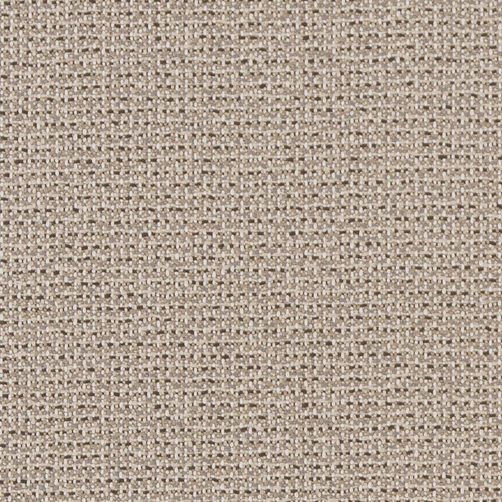 D1447 Ecru Texture by Charlotte Designer Fabric Vibrant Wovens 100% Woven Polypropylene Europe Exceeds 100,000 Wyzenbeek Rubs (Heavy Duty) No Repeat 54 Inches - Swanky Fabrics -