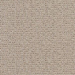 Charlotte Fabric D1447 Ecru Texture