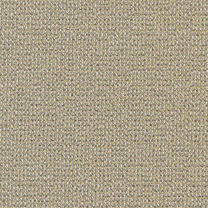 Charlotte Fabric D1449 Lime Texture