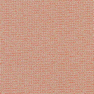 Charlotte Fabric D1450 Punch Texture