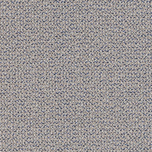 Charlotte Fabric D1451 Indigo Texture