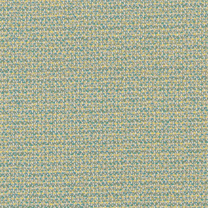 Charlotte Fabric D1452 Caribe Texture