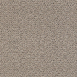 Charlotte Fabric D1453 Granite Texture