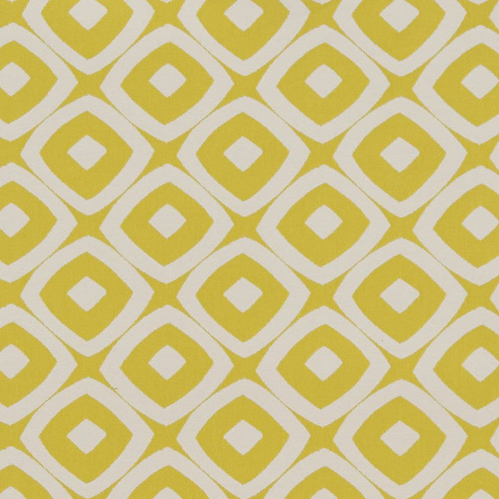 D1455 Lime Mayan by Charlotte Designer Fabric Vibrant Wovens 100% Woven Polypropylene Europe Exceeds 100,000 Wyzenbeek Rubs (Heavy Duty) Horizontal 4.5" x Vertical 4" 54 Inches - Swanky Fabrics -