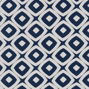 Charlotte Fabric D1458 Indigo Mayan