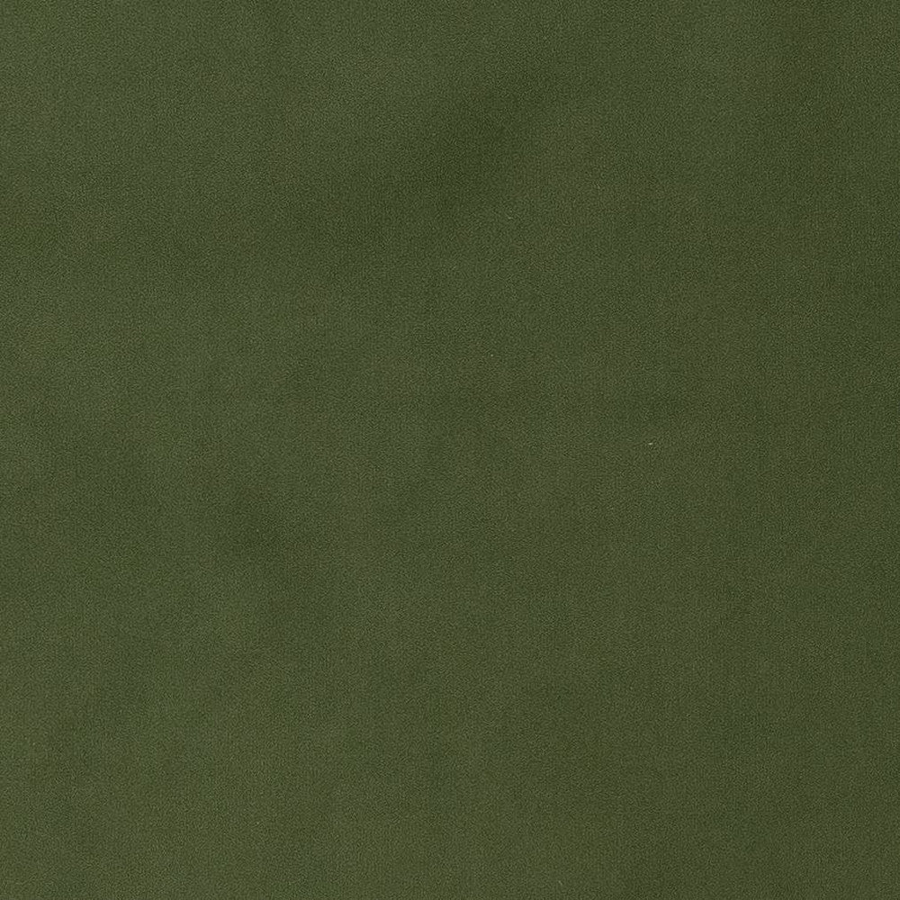 D1471 Jade by Charlotte Designer Fabric Eco Velvet 100% Polyester Asia Exceeds 200,000 Wyzenbeek Rubs (Heavy Duty) </p><p>Repeat: 54 Inches - Swanky Fabrics -