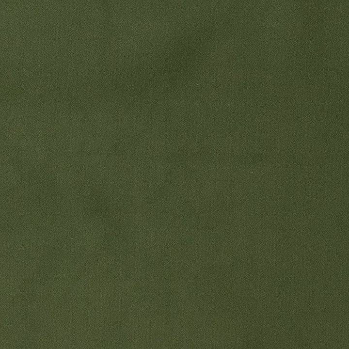 D1471 Jade by Charlotte Designer Fabric Eco Velvet 100% Polyester China Exceeds 200,000 Wyzenbeek Rubs (Heavy Duty) No Repeat 54 Inches - Swanky Fabrics -