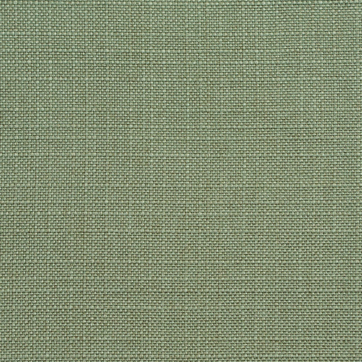 D147 Juniper by Charlotte Designer Fabric Clubhouse Collection 100% Woven Polyester Asia Exceeds 120,000 Wyzenbeek Rubs (Heavy Duty) No Repeat 54 Inches - Swanky Fabrics -