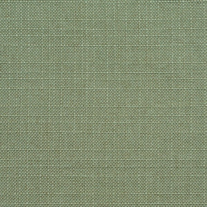 Charlotte Fabric D147 Juniper