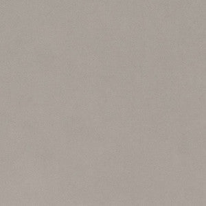 Charlotte Fabric D1486 Platinum