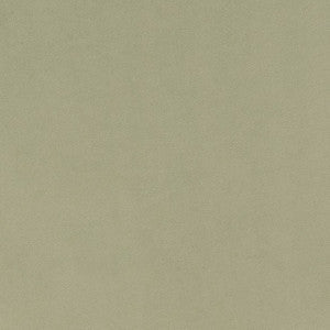 Charlotte Fabric D1494 Mint