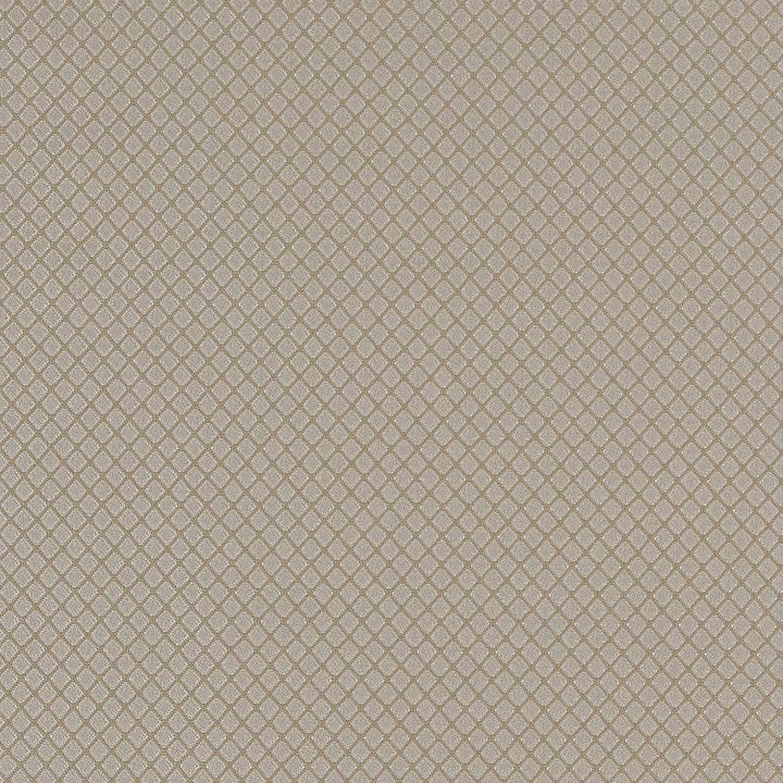 D1550 Pewter Diamond by Charlotte Designer Fabric Elegant Damasks 100% Woven Polyester Turkey Exceeds 50,000 Wyzenbeek Rubs (Heavy Duty) No Repeat 54 Inches - Swanky Fabrics -