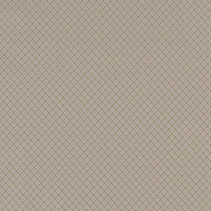 Charlotte Fabric D1550 Pewter Diamond