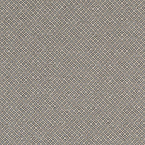 Charlotte Fabric D1552 Wedgewood Diamond